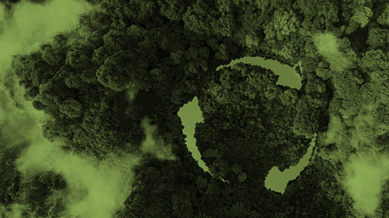 Aerial photo of a forest