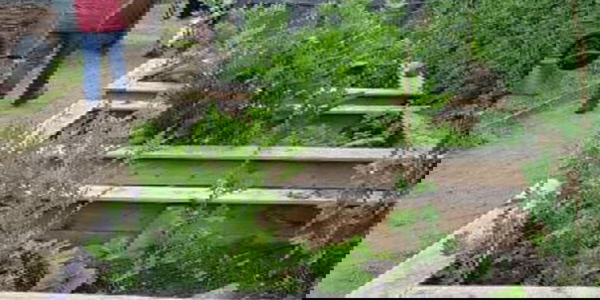 The Childrens Foundation garden