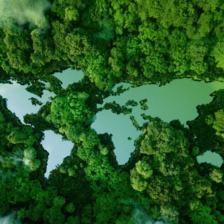Aerial view of a forest with lakes forming the shape of a world map.